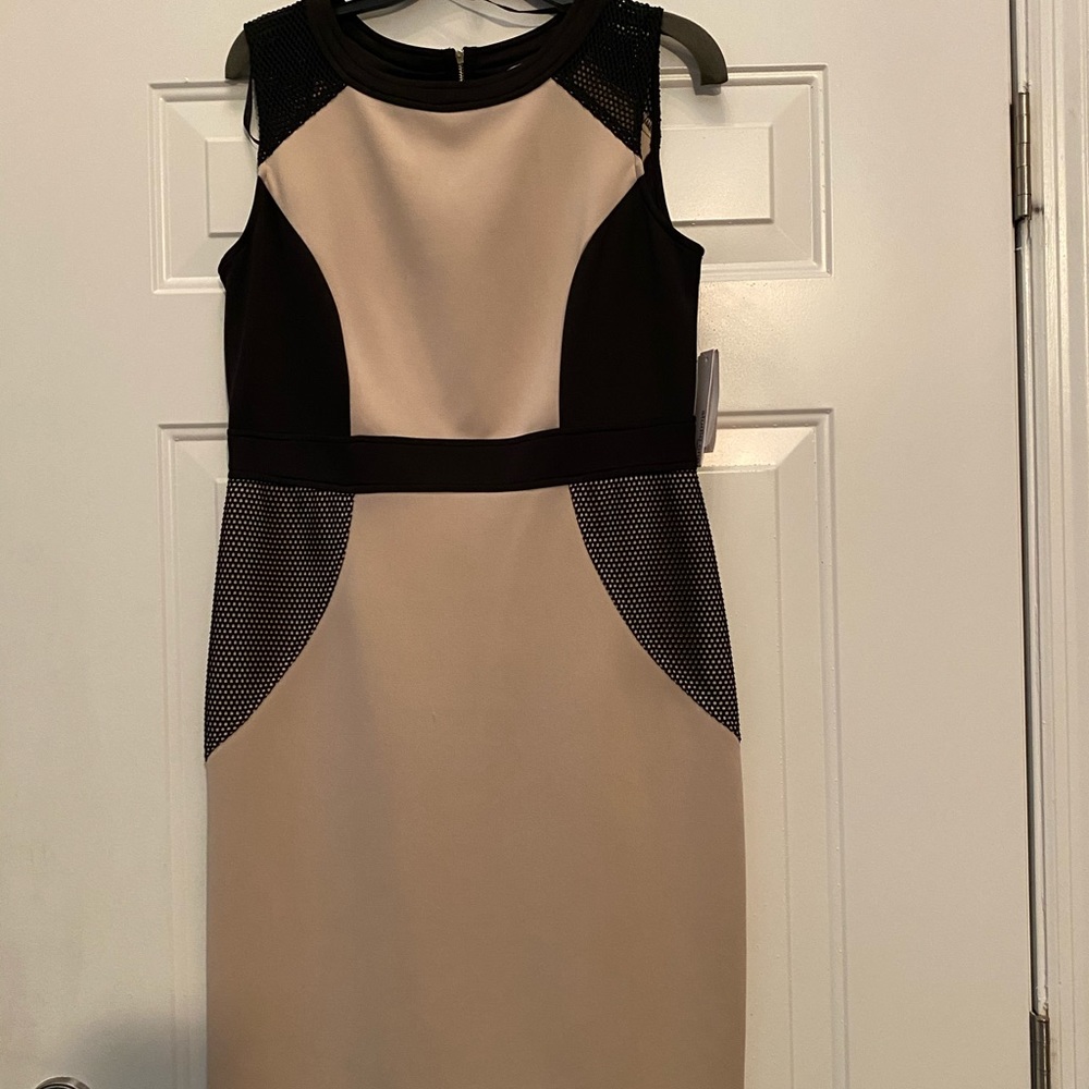 Above knee dress.  Fish net details.